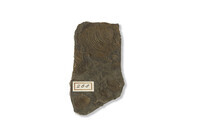 F 00268
<br/>
<br/>
<em></em>